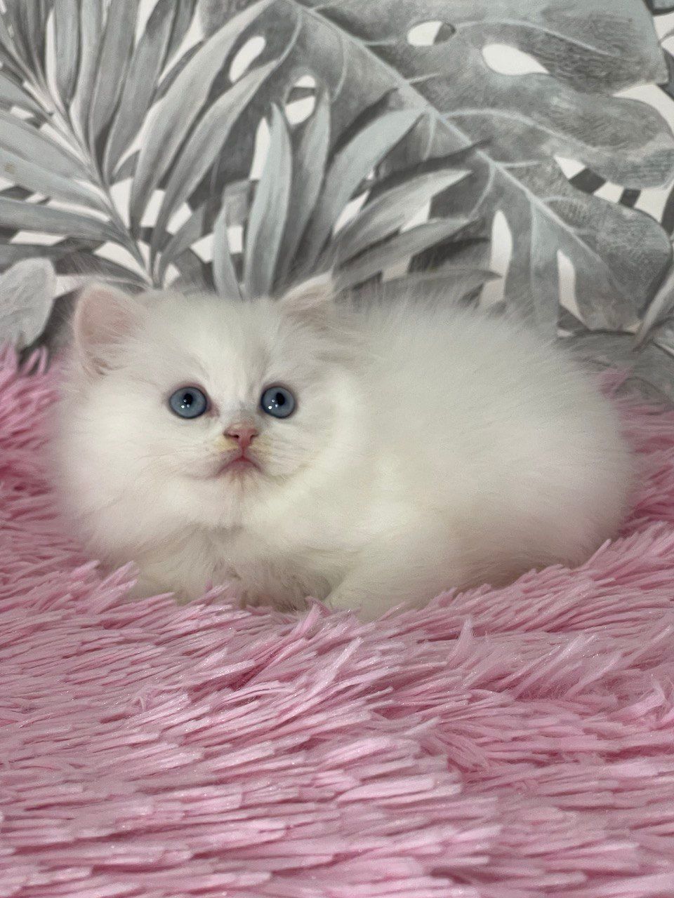 17434c92-5173-4e8c-bf6c-af8f24156697