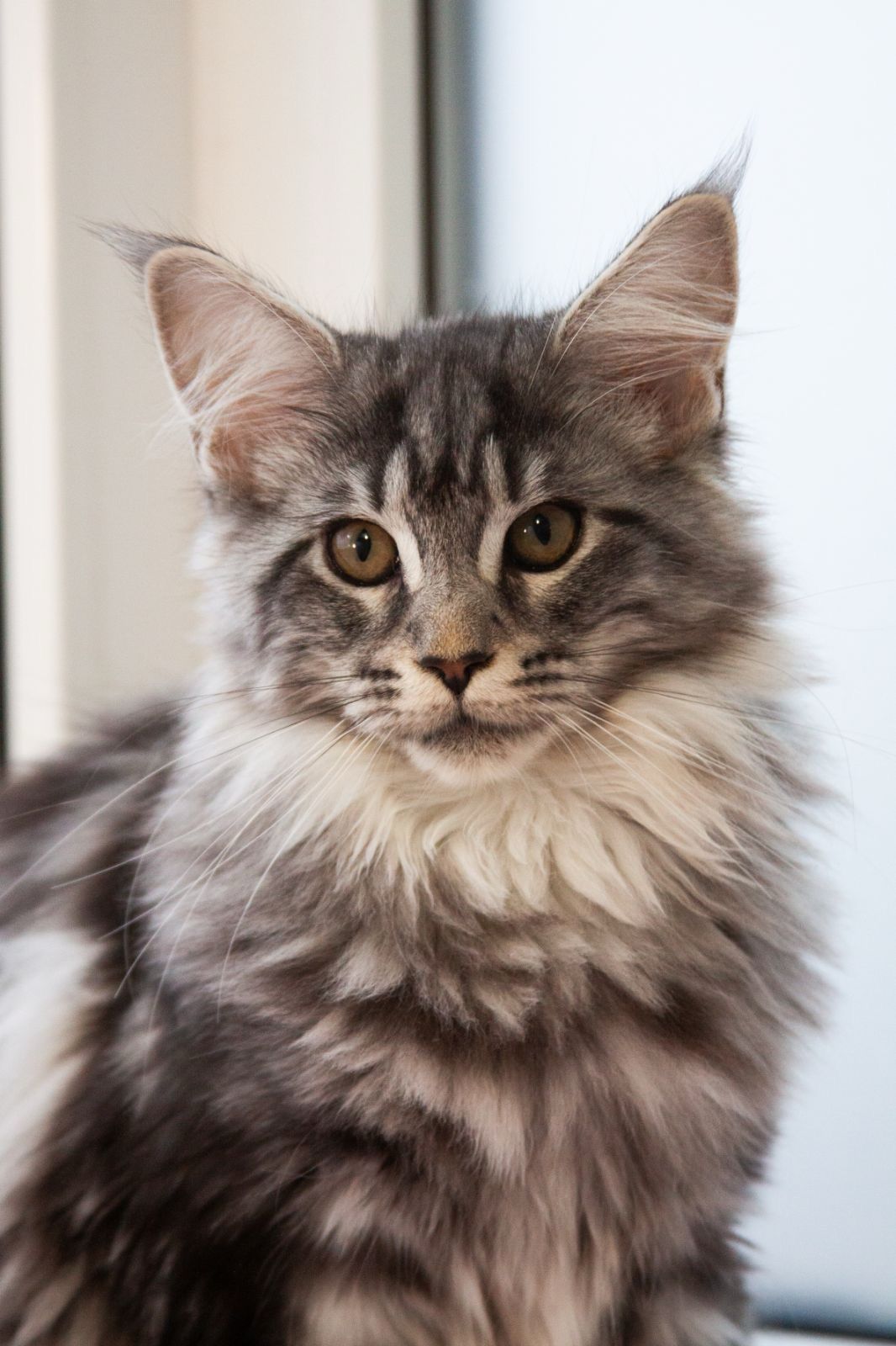 19818991-3771-4c49-a6b6-cc3f5a027582