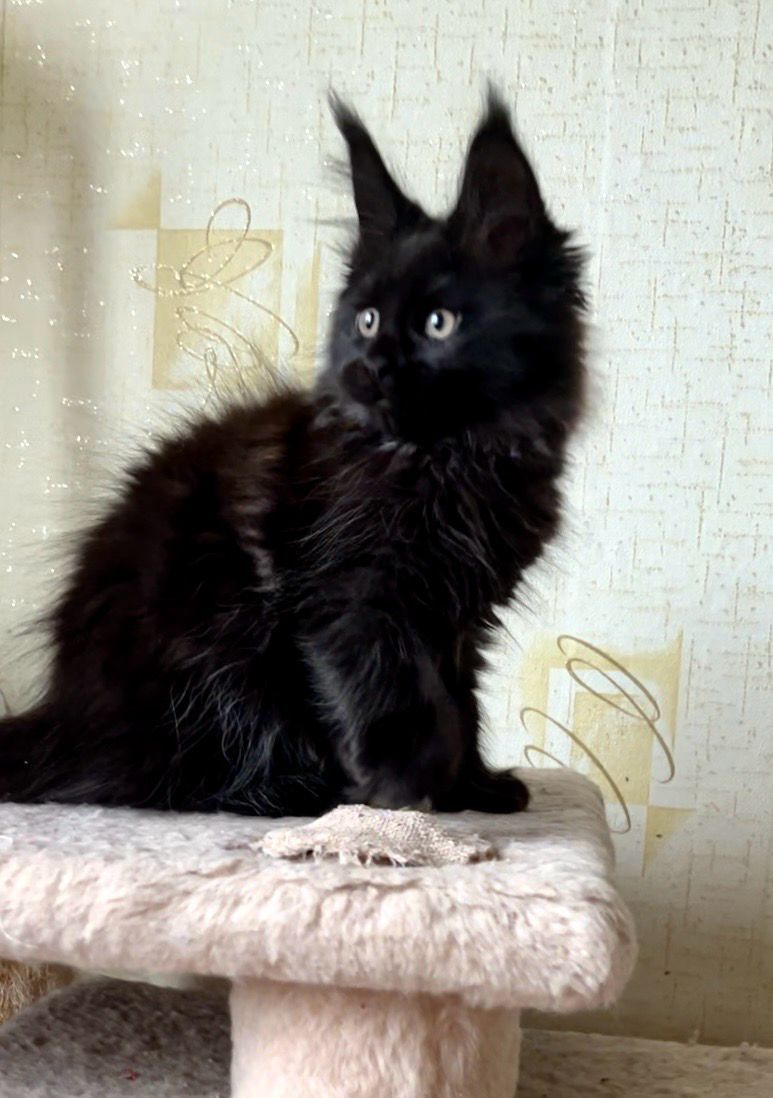 1b6ce9d5-eea6-4234-8338-11e2fea5f9d9