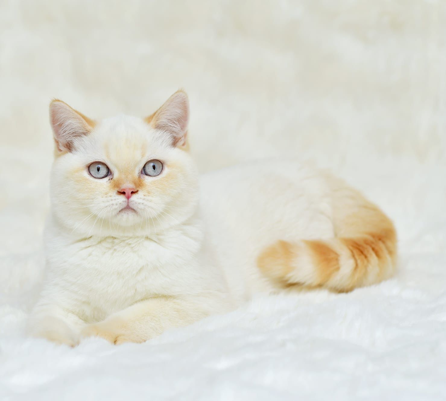 1bb88163-f780-46d3-a02a-3fabc352b1ef