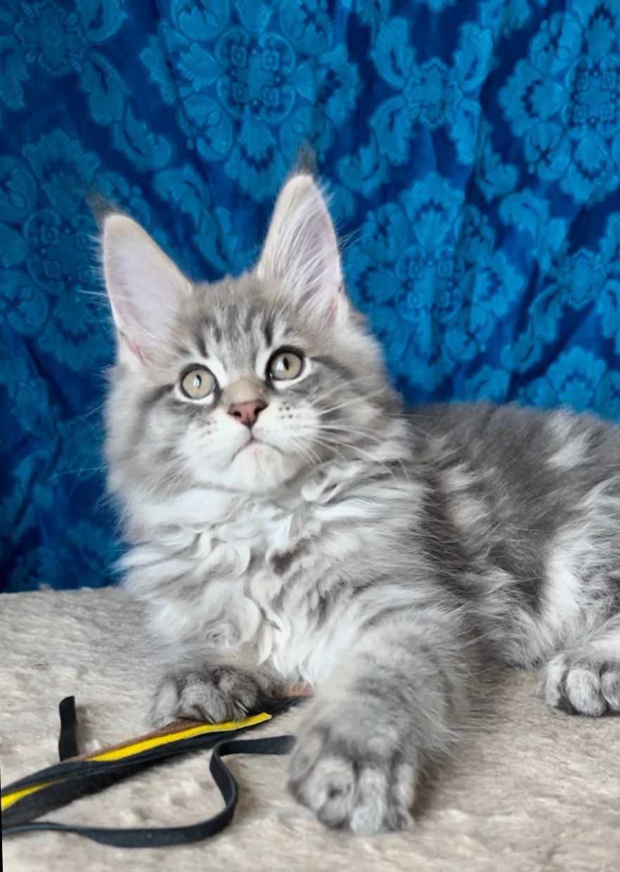 200df881-7765-490f-883b-0192e1ed73a2