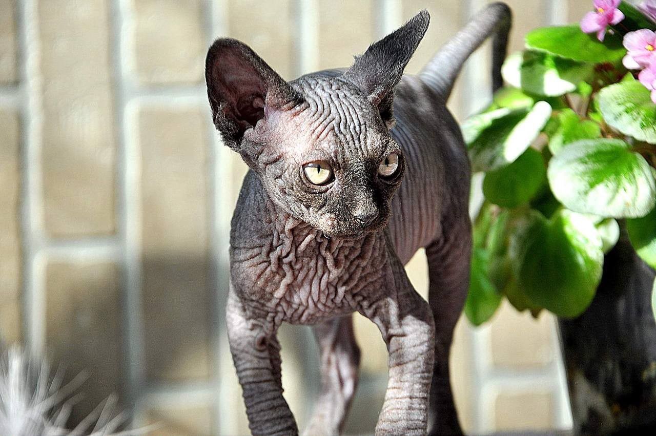 20cece7e-4003-4157-9605-1f1167d2929b