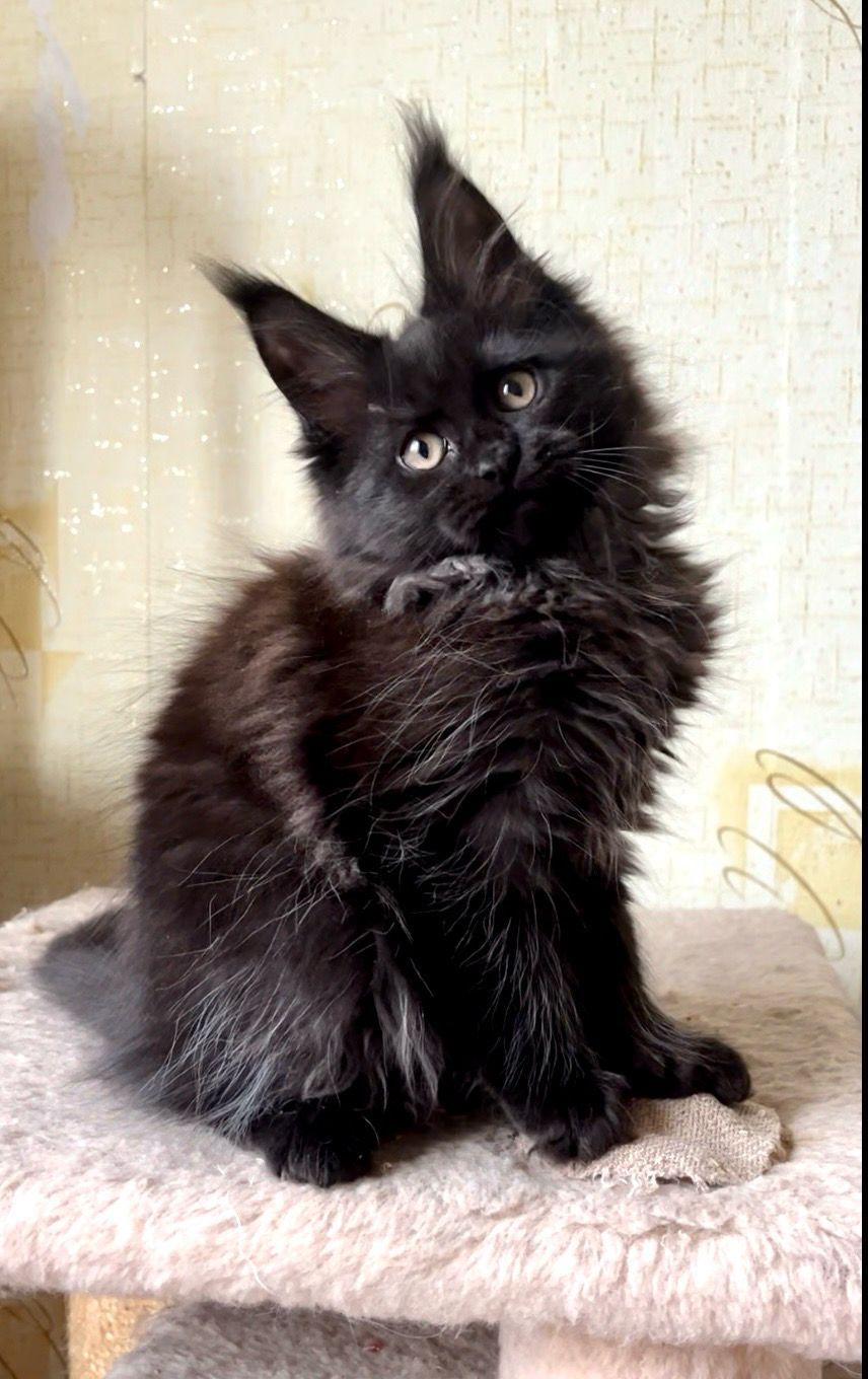 235578ef-f59e-404d-8757-f8b386de2c7c