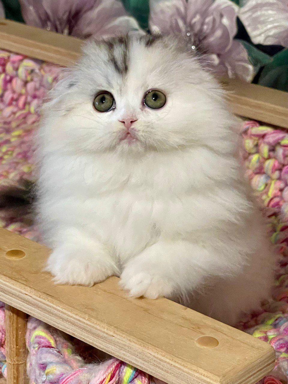 26a53b26-f727-4915-b5c5-1a54e43f76de