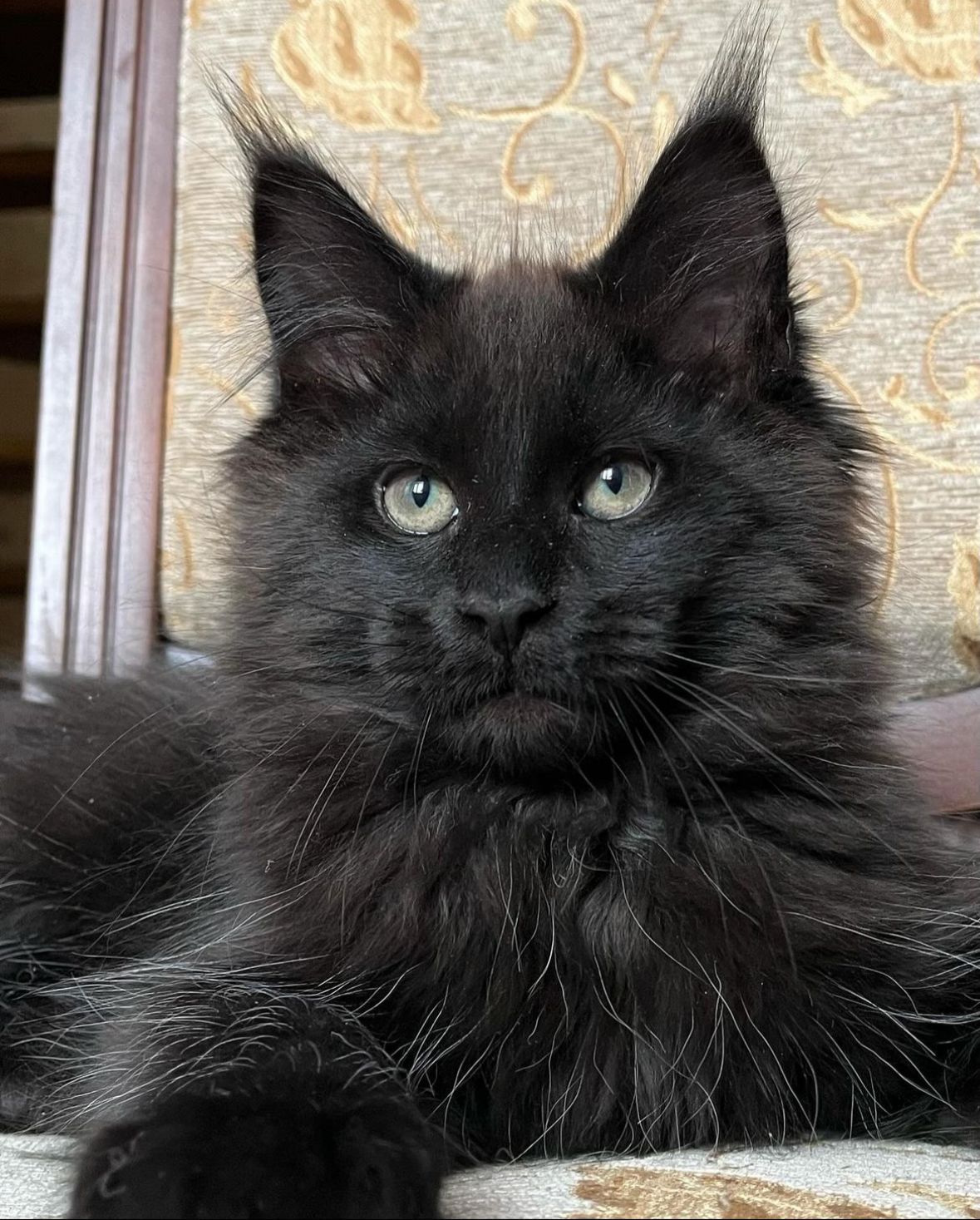 28edec32-c743-4c32-966e-858674c30261