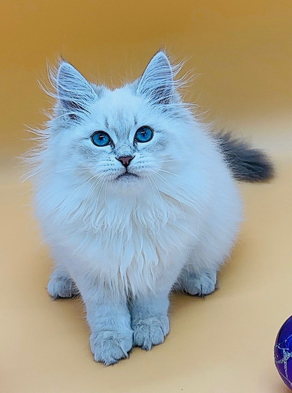 2c4b31fd-7a90-4876-9a5f-67c99fdd2a34