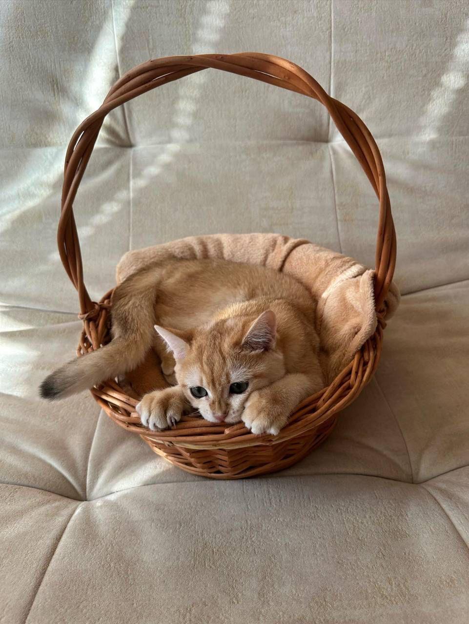 2f11d041-79d0-46d6-8477-9c87ef941ee5