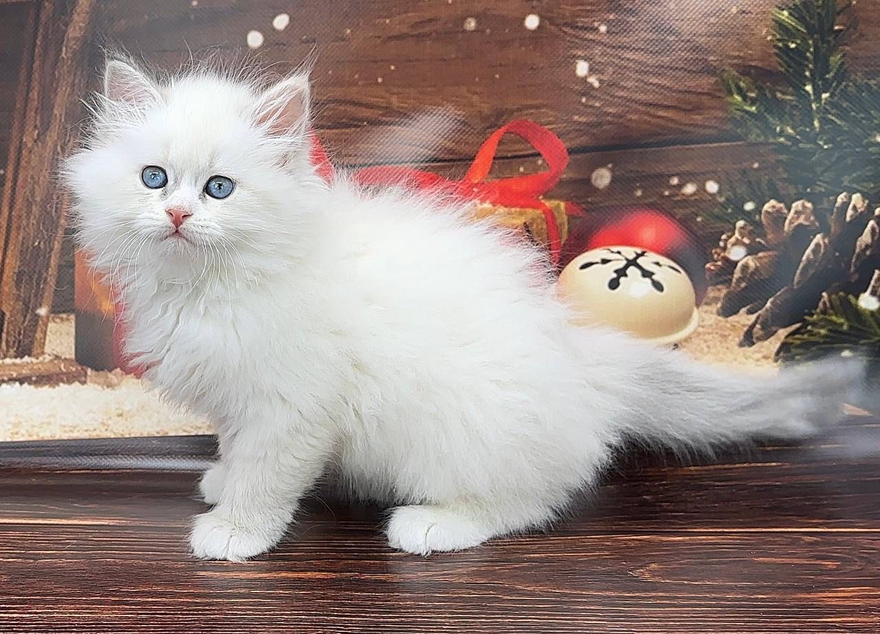 2ff60547-a75f-4c35-b583-ebe5926f67cd