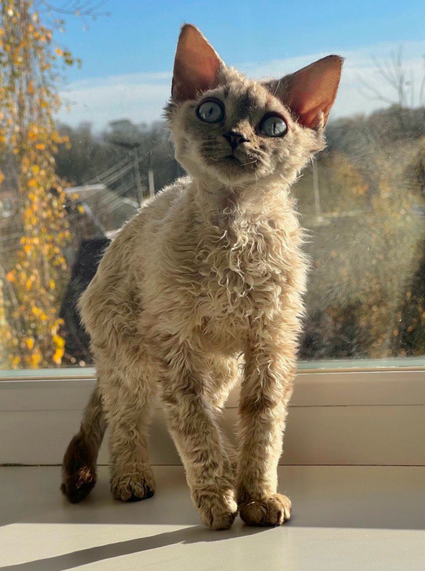 30cfdda5-63f4-46e4-ac2f-734dc9ca52ce