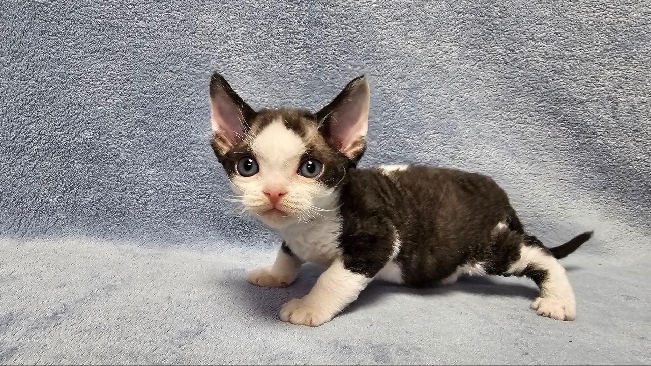 31b22aa1-88e8-4d22-8ca4-694493e31bf1