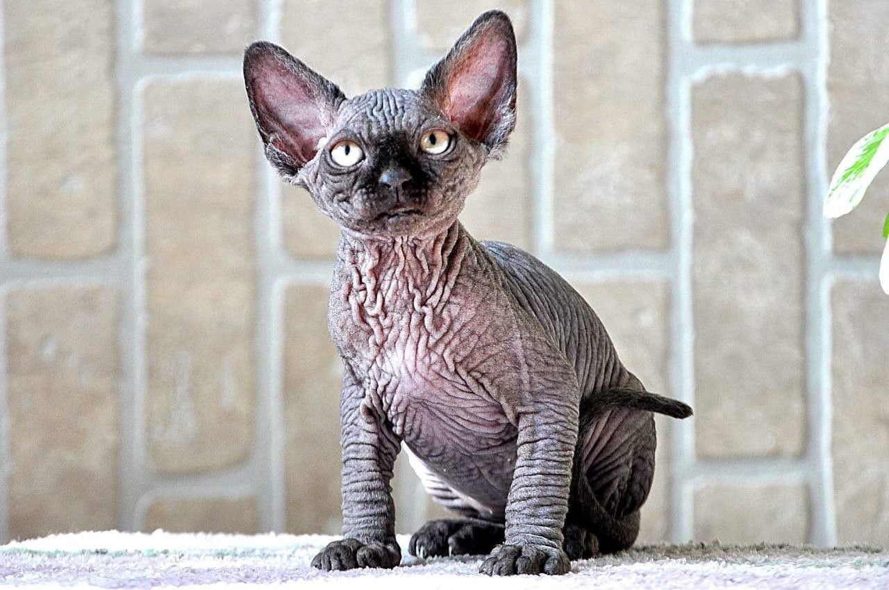 33a5aeaf-31d0-434c-89b8-058b5c4bf468