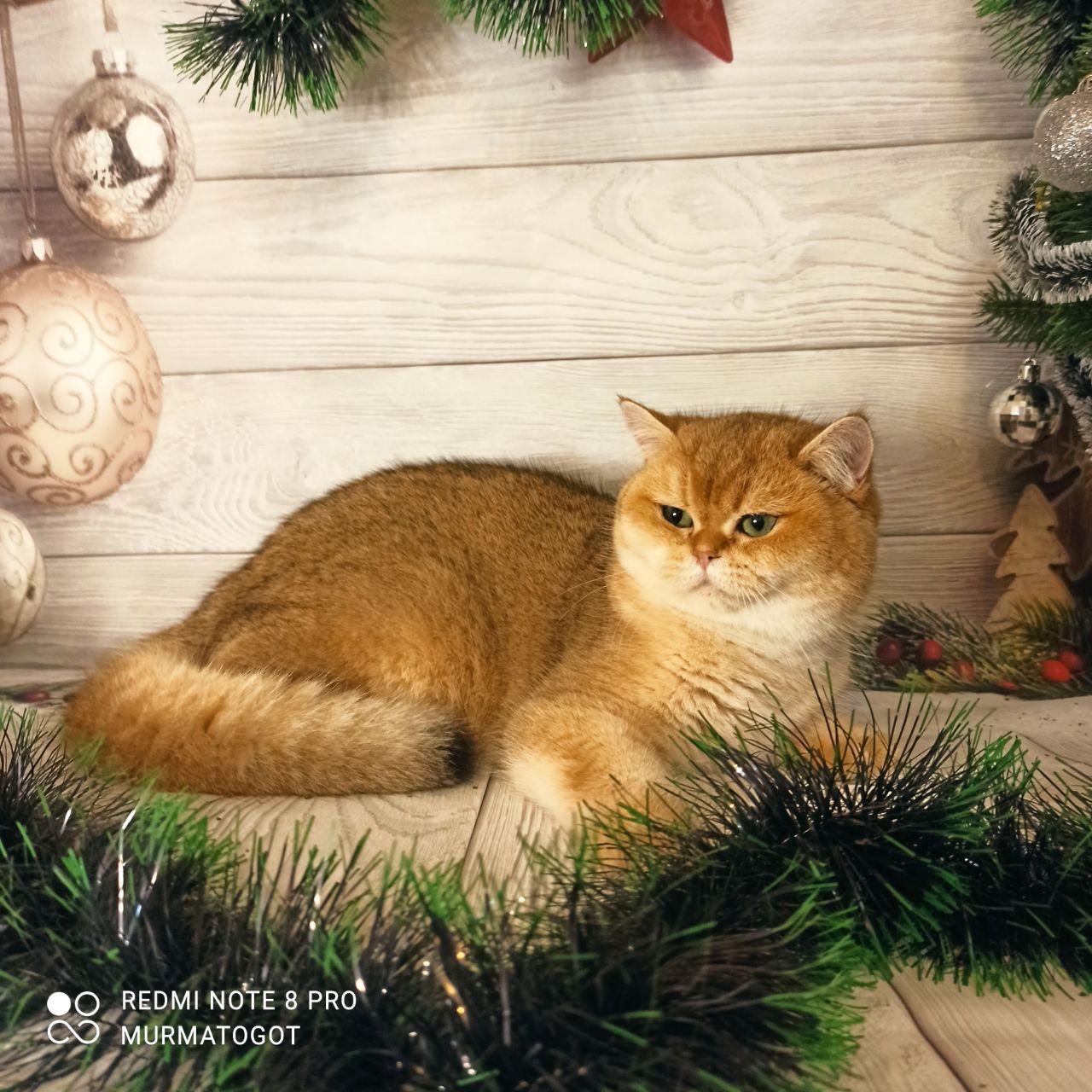 3438dc64-5aa9-49bb-8e23-5af98f71adad