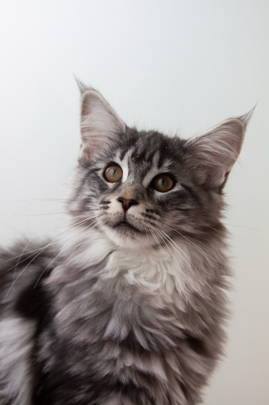 357b2674-bedf-4797-b949-68860093f803