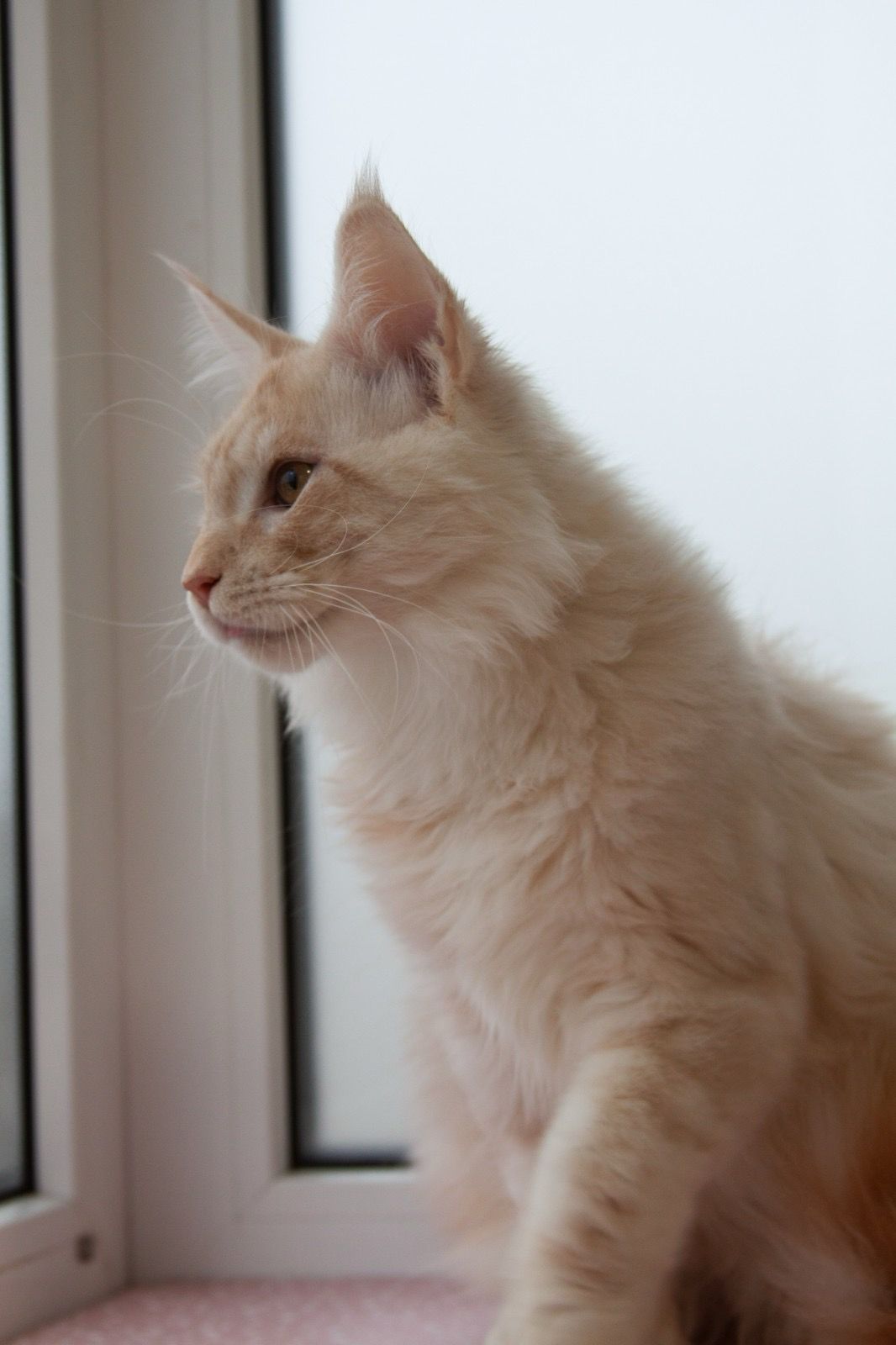 370022d0-1fe0-481a-8371-91869d57ad04