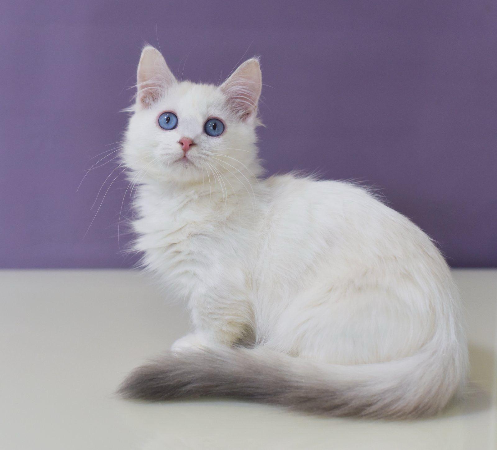 37031ba3-46ea-4a80-b0b1-5b0c5fa20a90