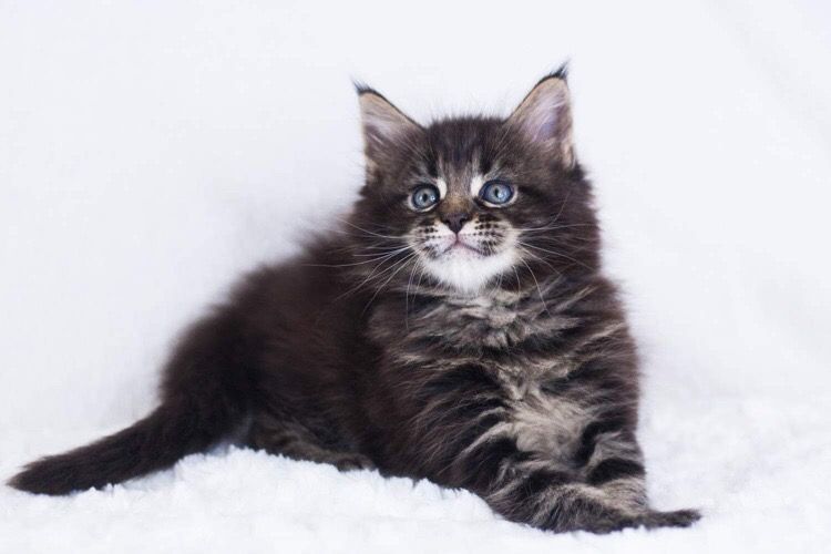 3b8d37a1-3511-44f1-b245-fea5be243d44