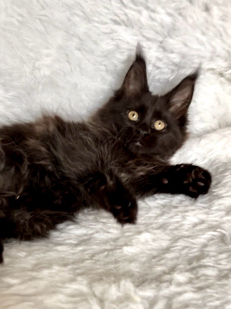 46d34ac1-41e7-4628-84f1-df1f65204945