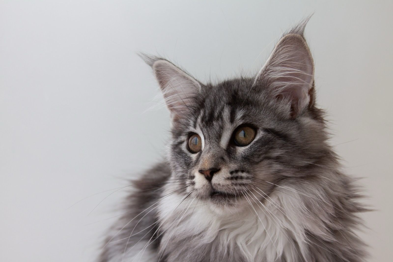 4763f82f-f3c5-4050-9bba-4ea09bfaa107