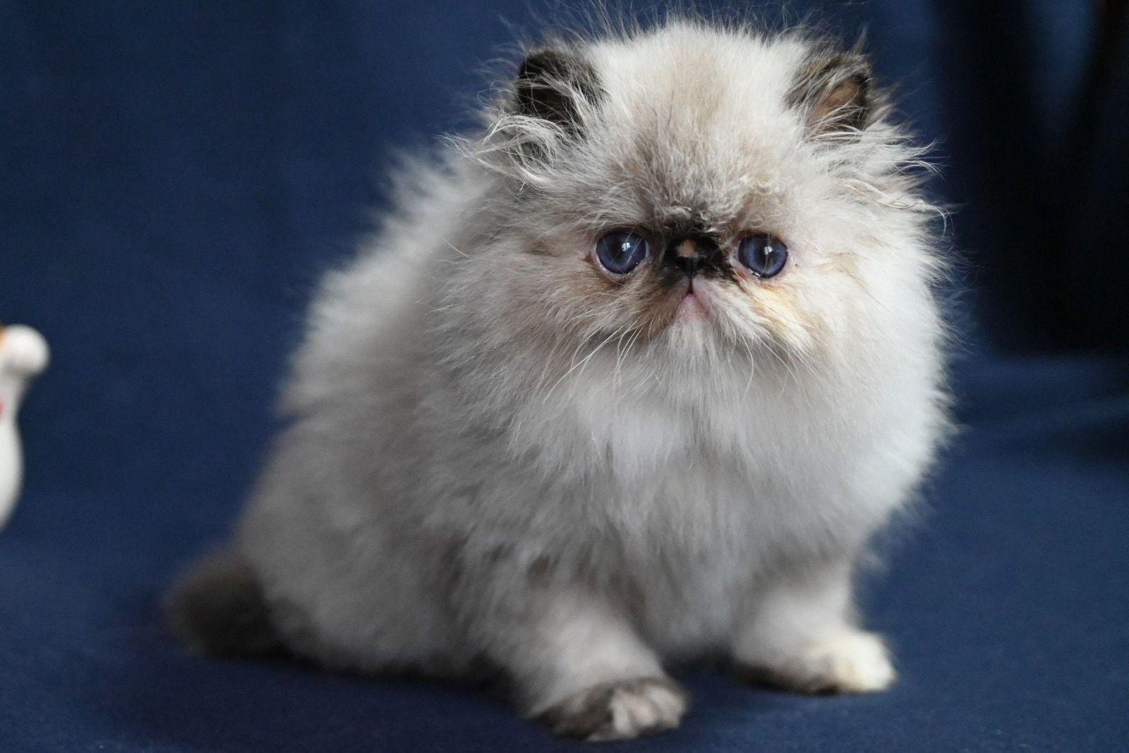 48c0bd29-286a-4bd1-a788-278a331d584c