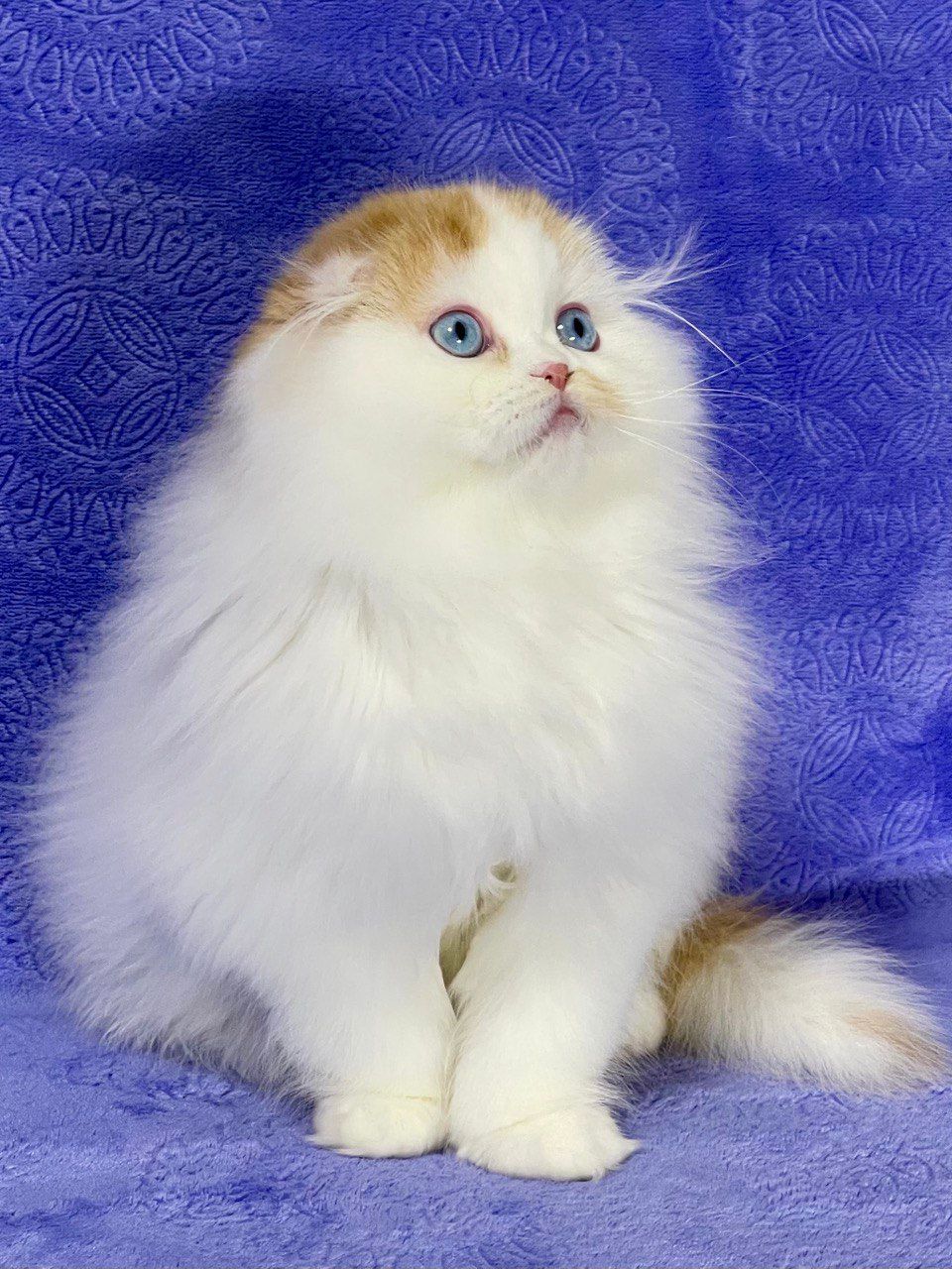 48e46cb5-0859-4d14-a741-7922a9a12cc5