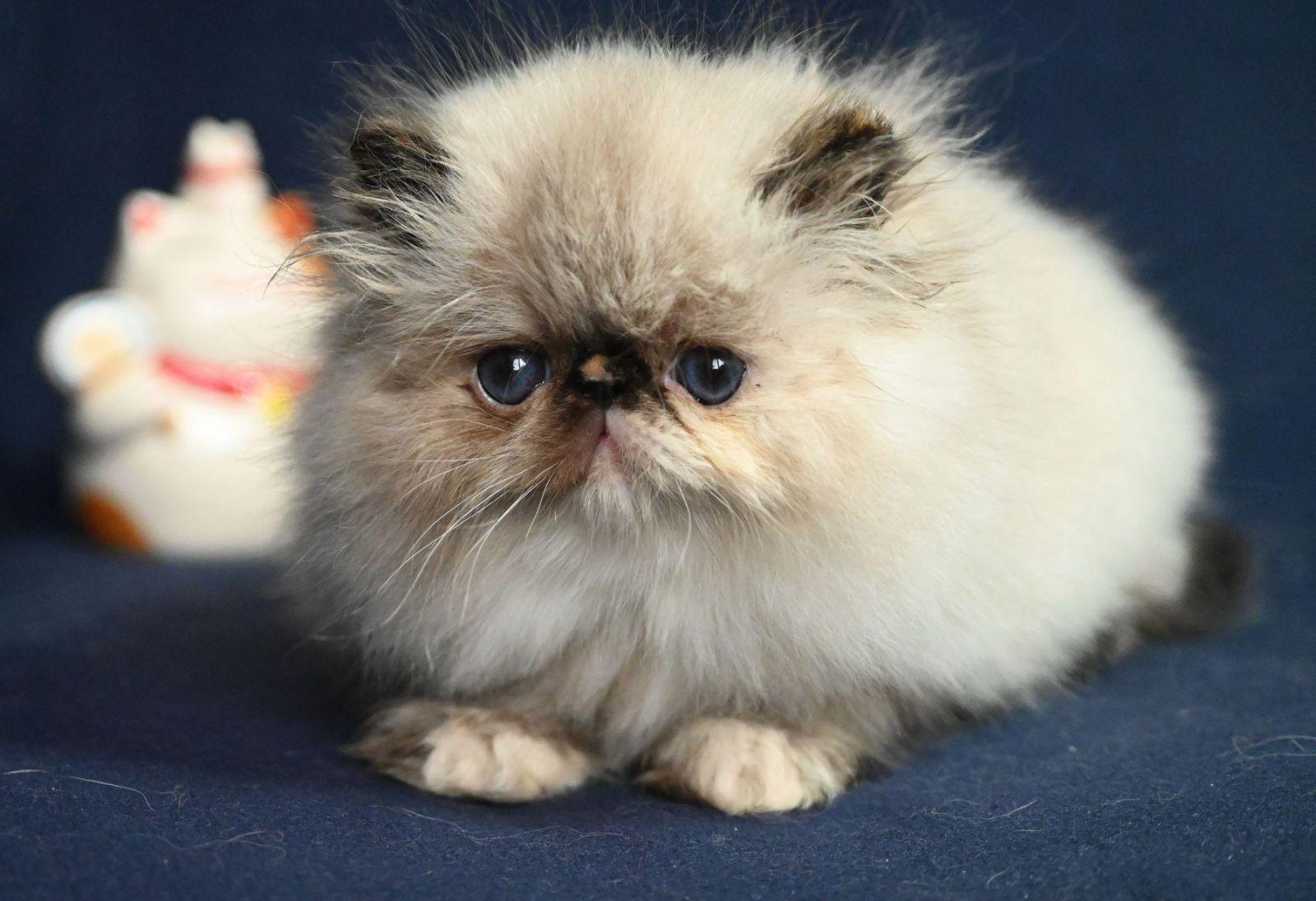 49d6c963-8576-493e-bee8-b6bcde831fa3