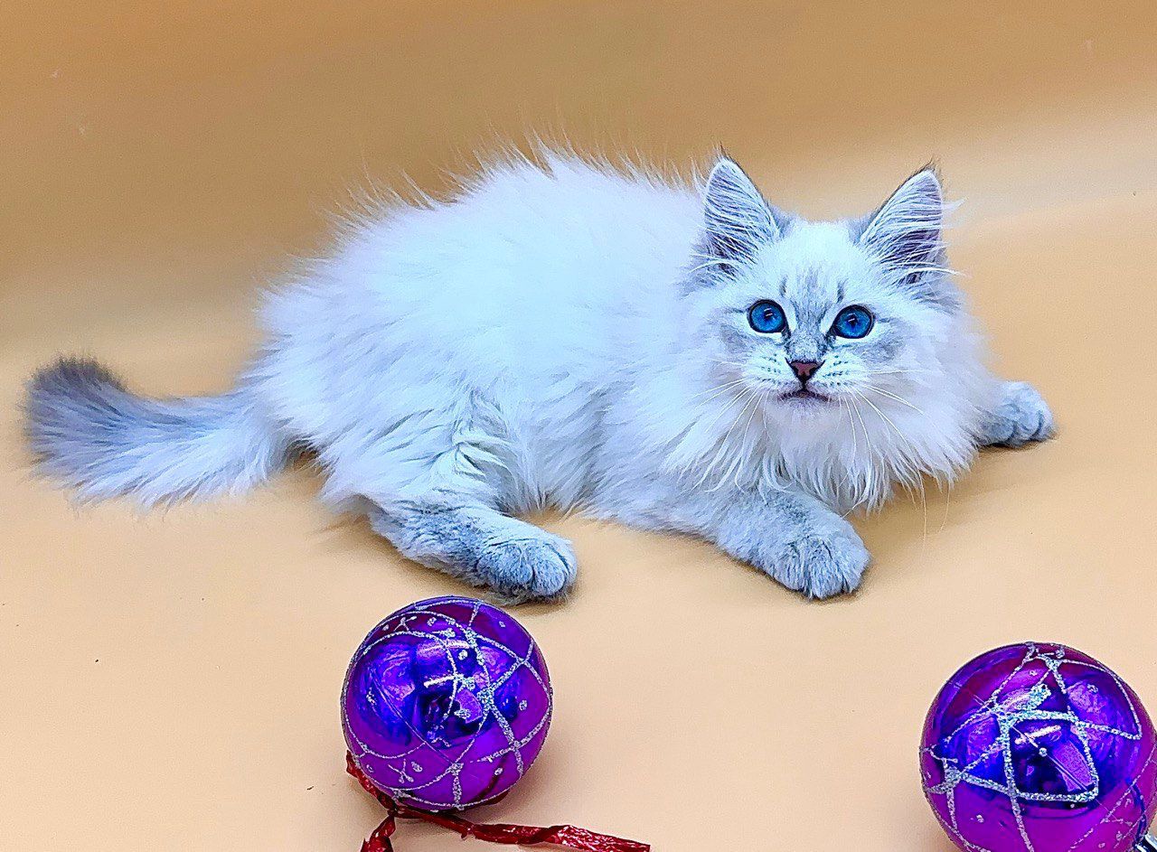 4ad10bb0-f451-4be7-abb4-2466792bf09e