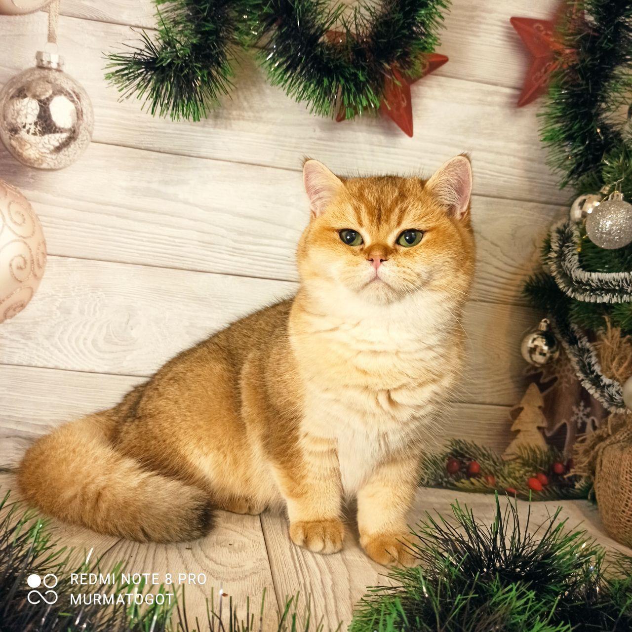 4bf66b5f-400d-4c33-ac55-377206fa2d56