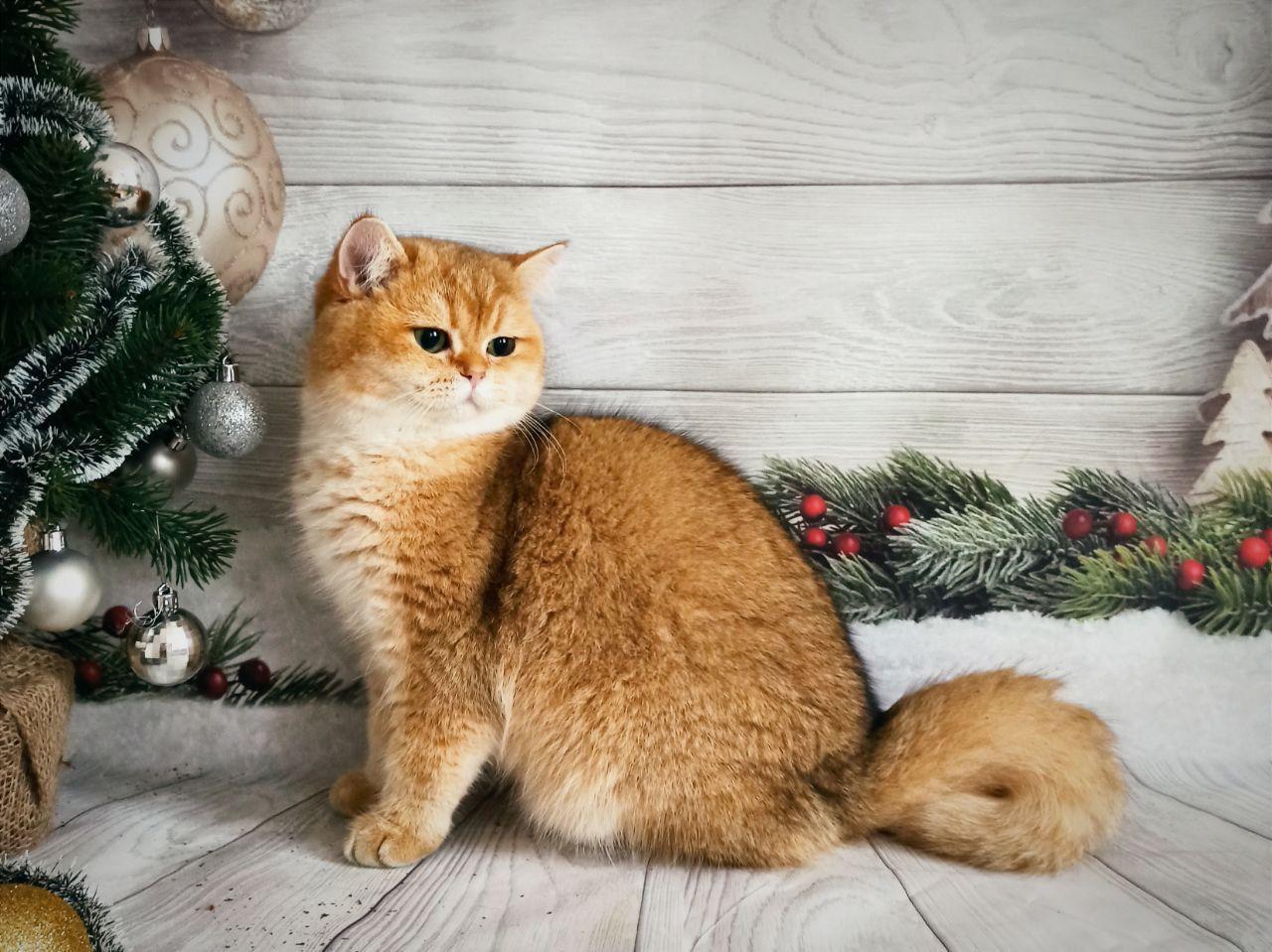 5060ef0a-c5eb-43d4-ae1a-695d839e4063