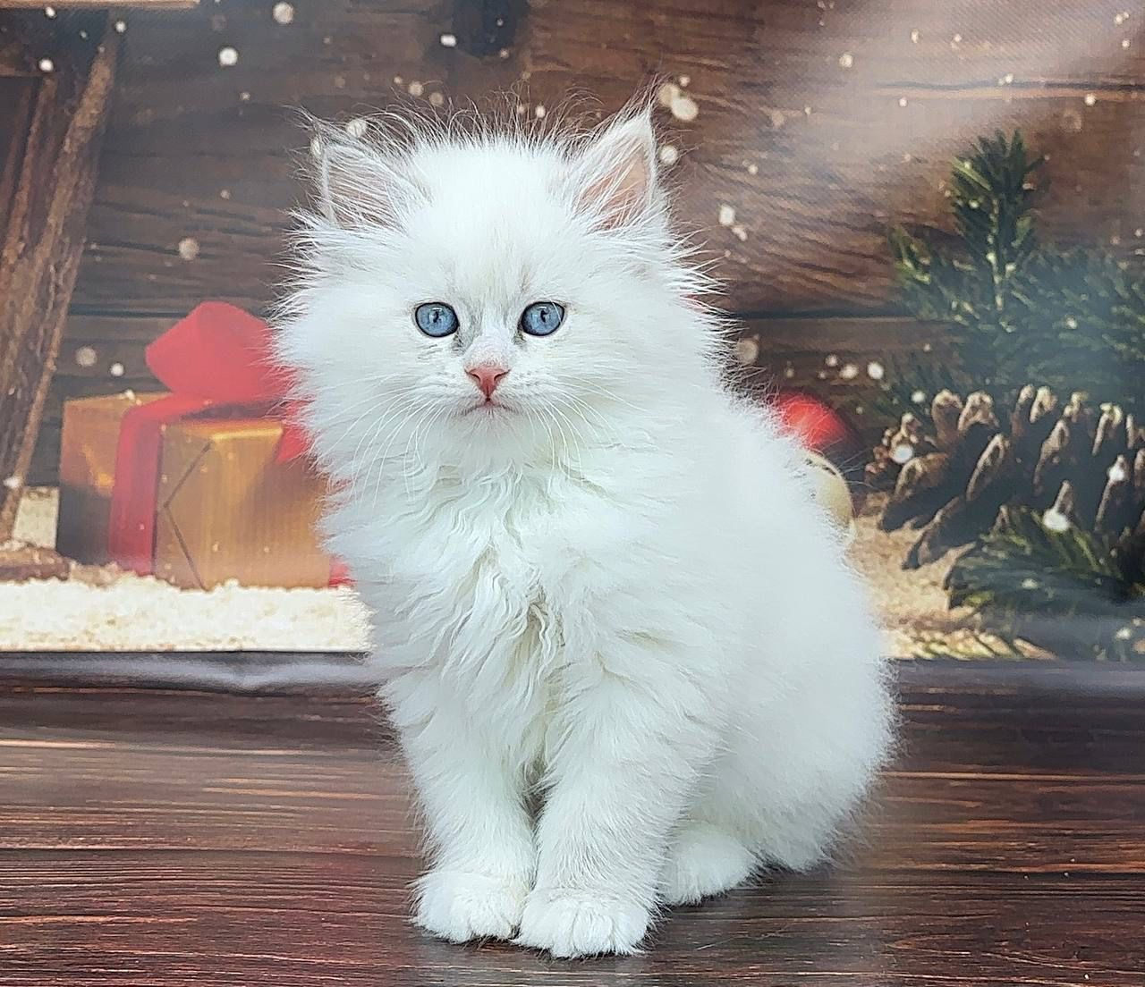 5264512c-7578-4ab7-adee-eb04fae15898