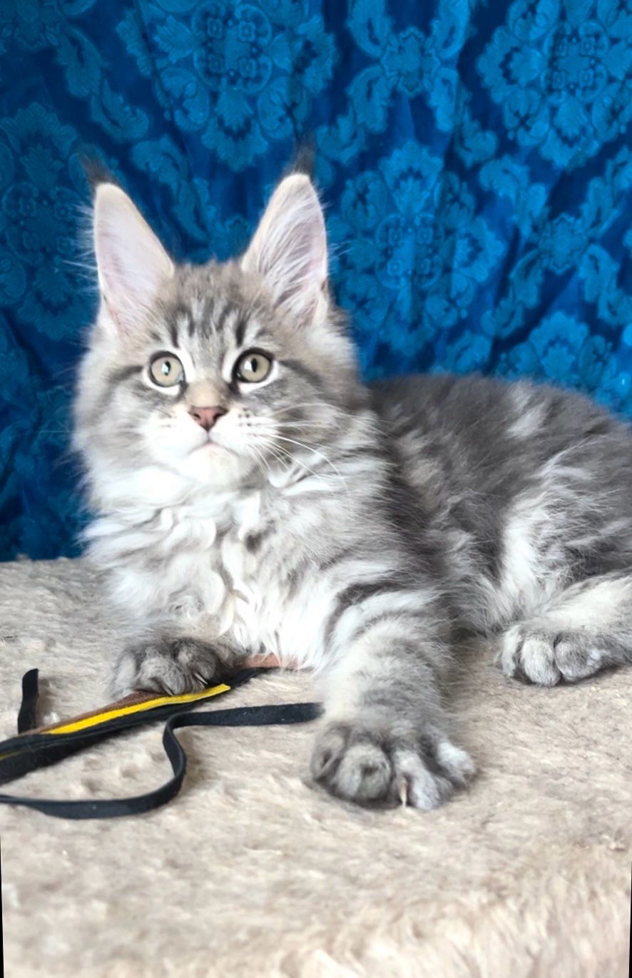 526e6c63-1887-4c29-98a9-307ddcd55c83