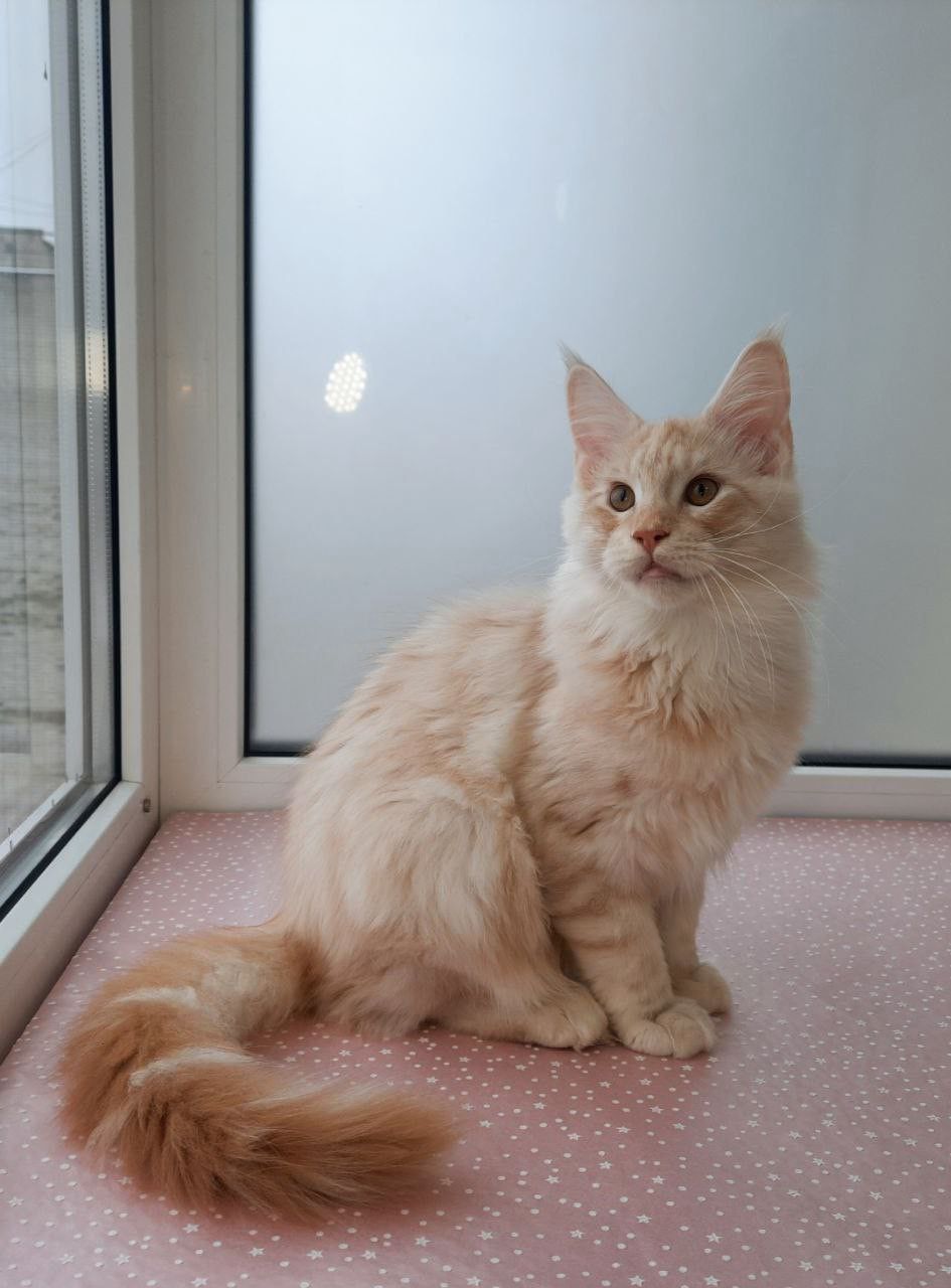 554c943a-7e5b-4d90-a273-d07ac54d5ee1