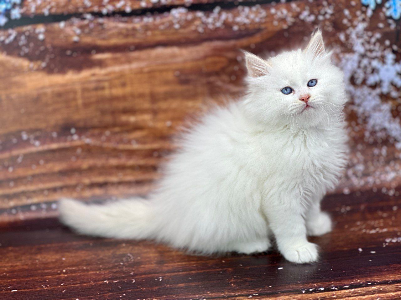 56447744-db30-45d3-a302-73e97aadddfd