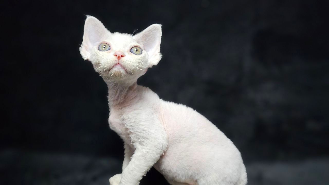 570967a0-8112-4cf7-bdad-9127b5f06aad