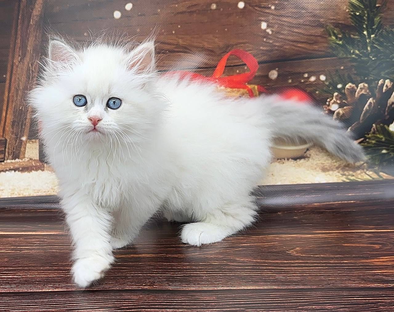 5882545e-02a3-4b96-90ef-54ff1241a218