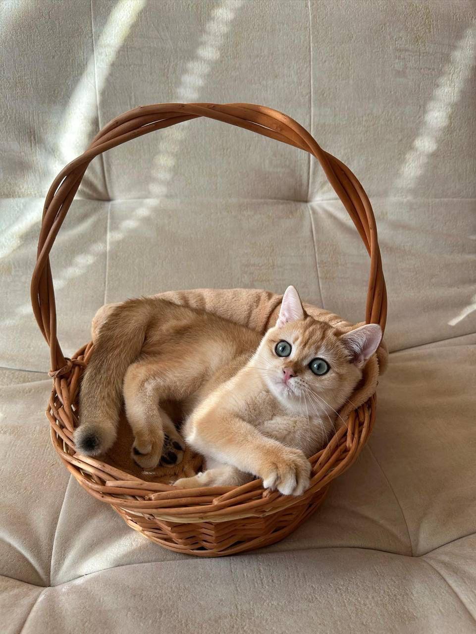 5d9d2866-9105-4789-b44e-ebde73c51071