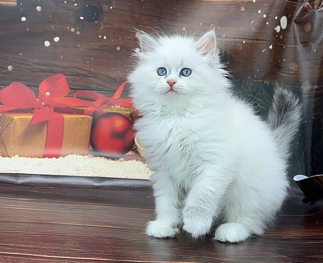 5ff09d60-6548-4a26-8812-61198ec52434