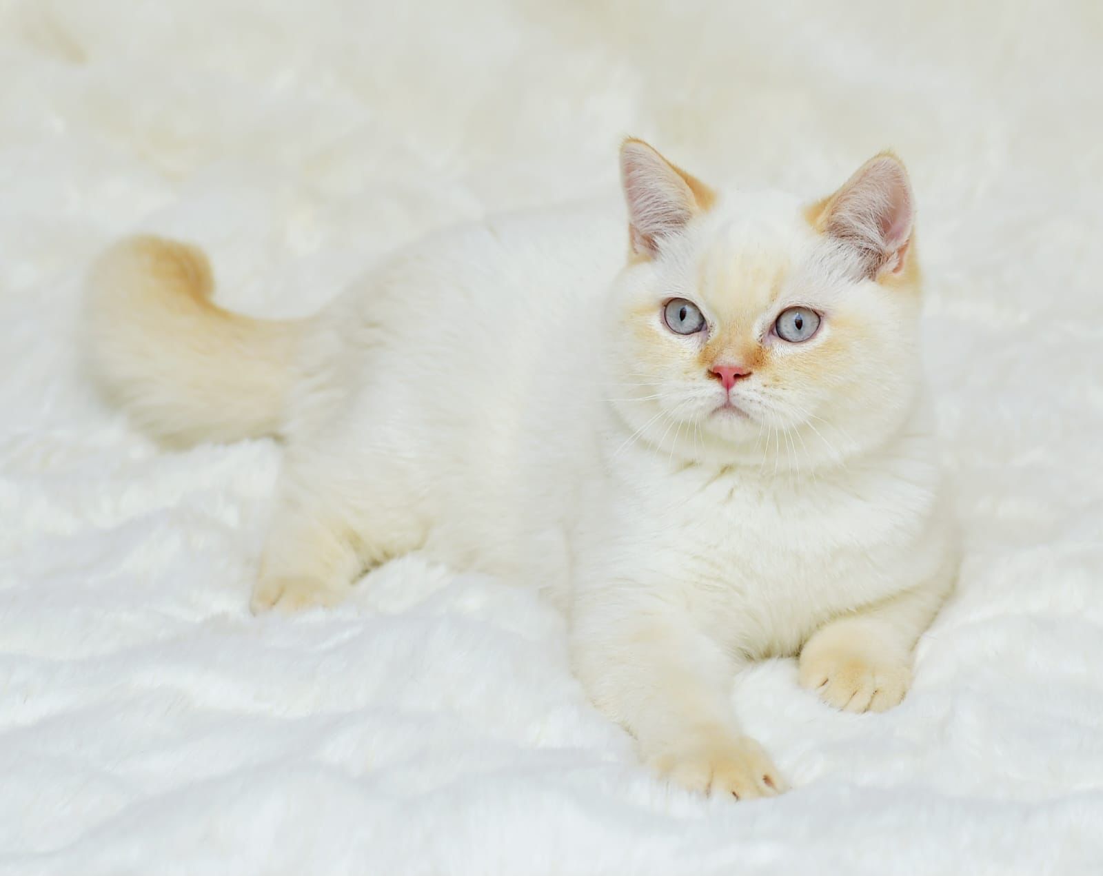 6059a971-2511-4c05-992d-bbf1e2e65b95