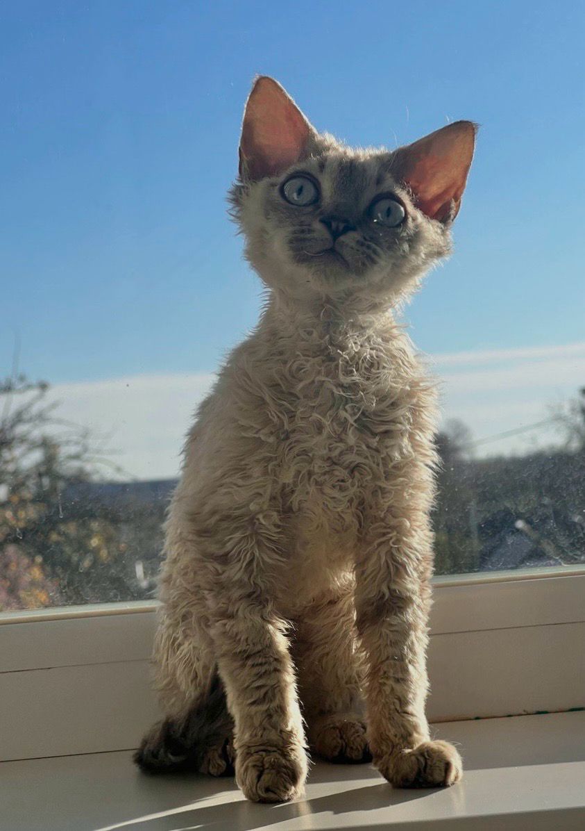 61233dc4-33b7-45fd-bb89-2610a17025b5