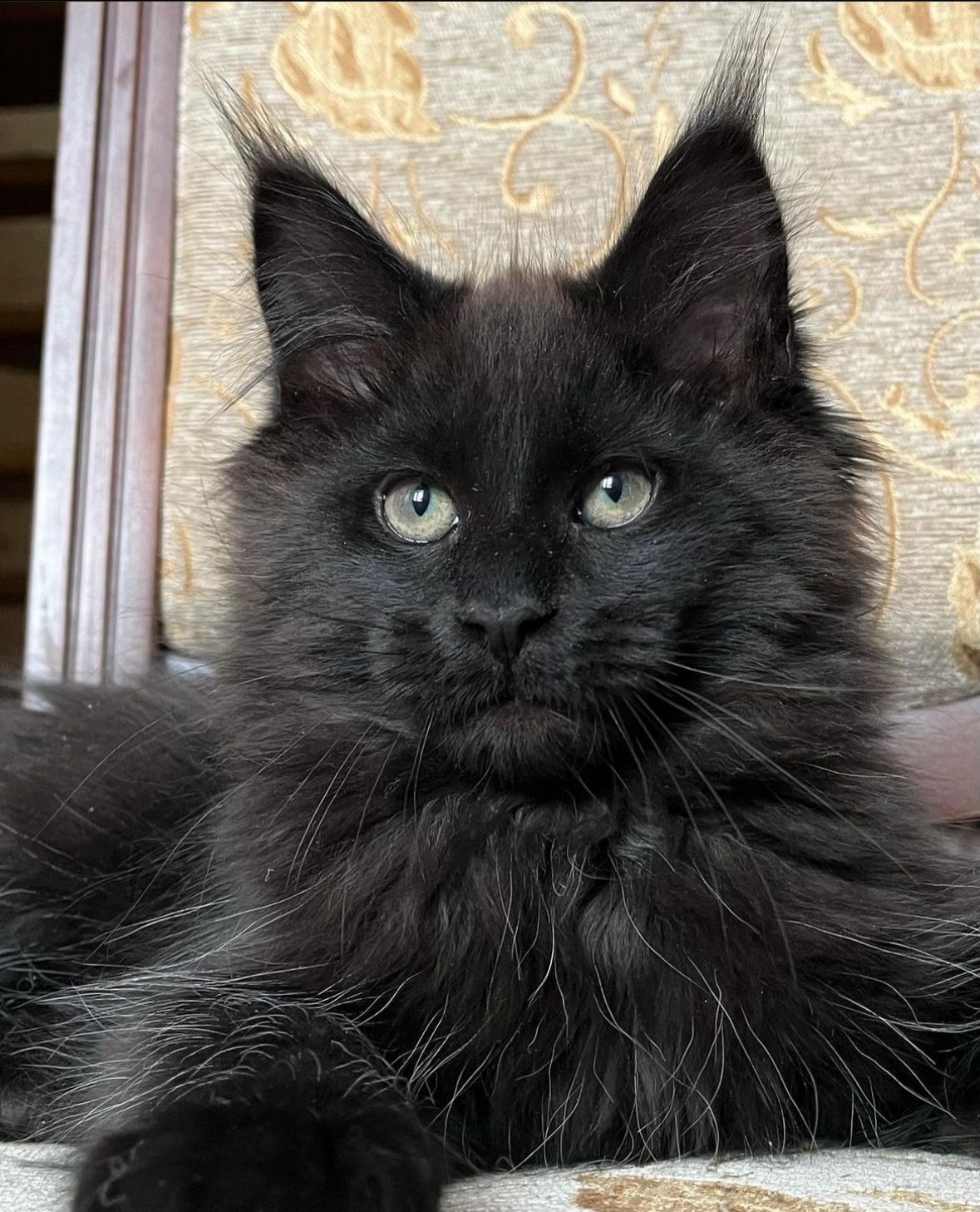 6392136e-746c-4538-a93f-359a1bfb45a1