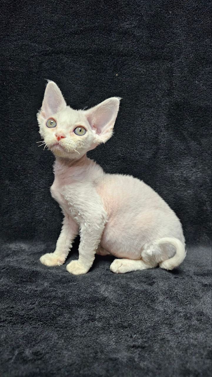 65b18044-fee6-48d3-bd62-664a9ab51714