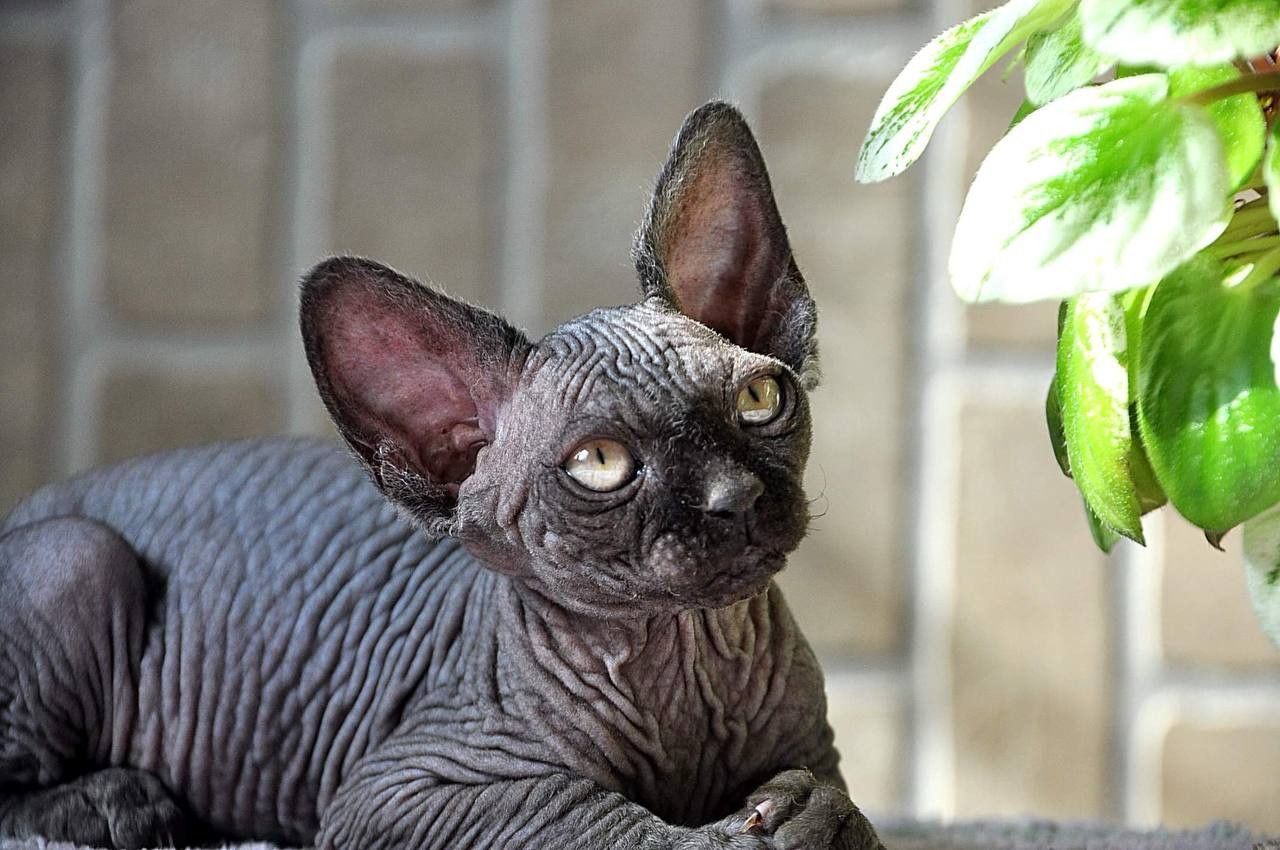 67c88519-6173-4b2d-96fe-29939f185f1c