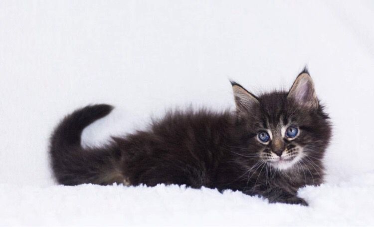 7016c0a9-feb8-4219-999b-aecd13626f10