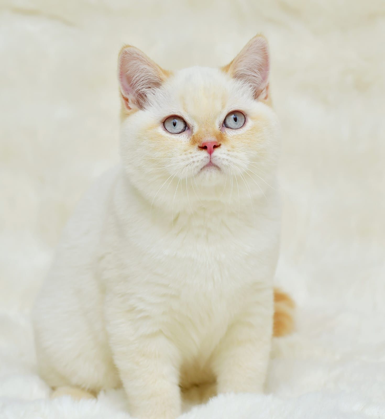 72e9f035-6cfa-4df0-829d-f5b119571142