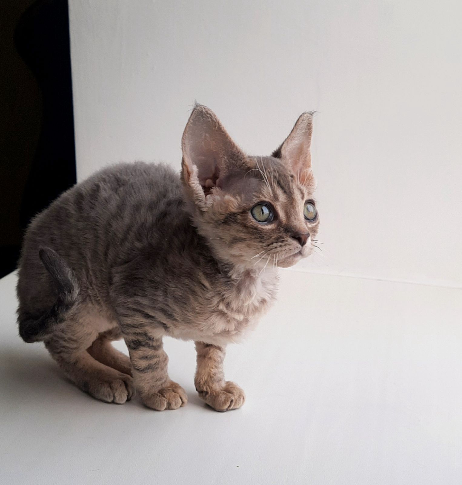 798ef715-9232-4f38-80de-59ca1dd9628f