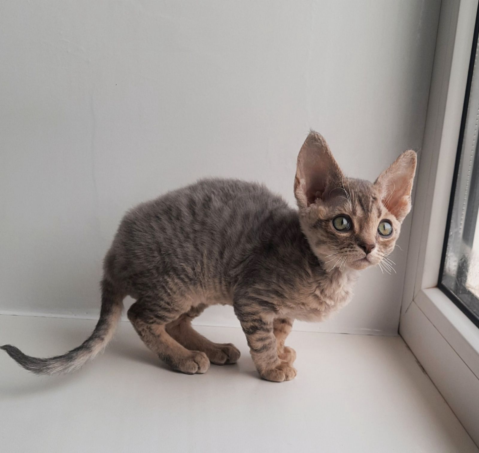 79a6cfa0-296e-4650-969e-6f7b71011b9b