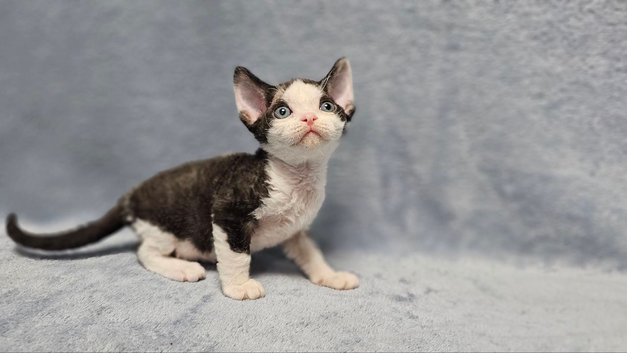 7bc36952-f1de-4143-bfa0-646878931b74