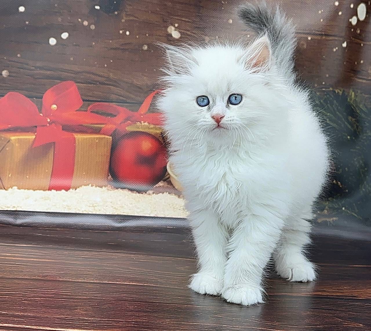 7bf22d97-2516-407f-bc16-dc9774c6dd02