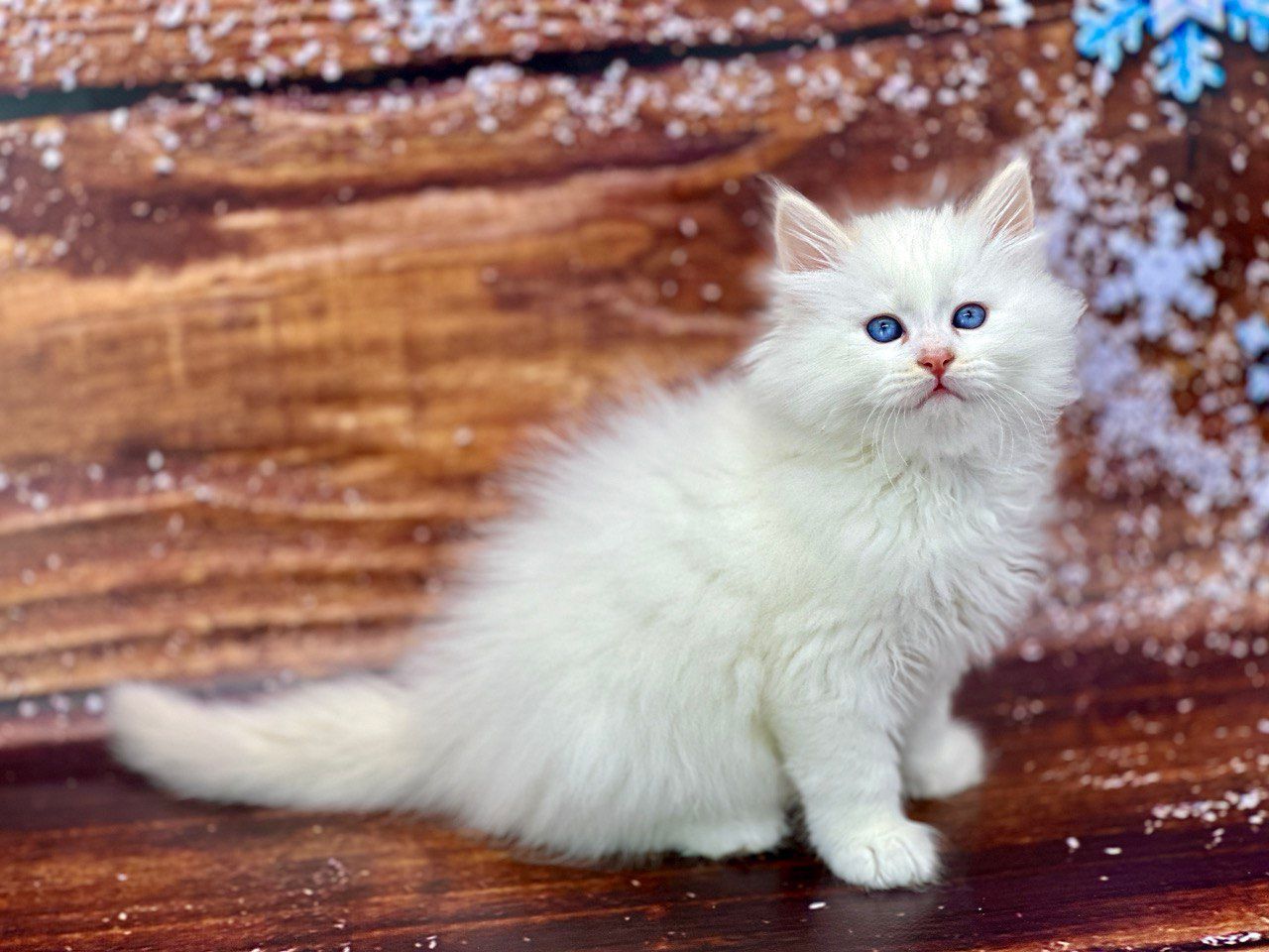 7ca03e47-c4c2-4623-a74d-f5fbe4c9b02b