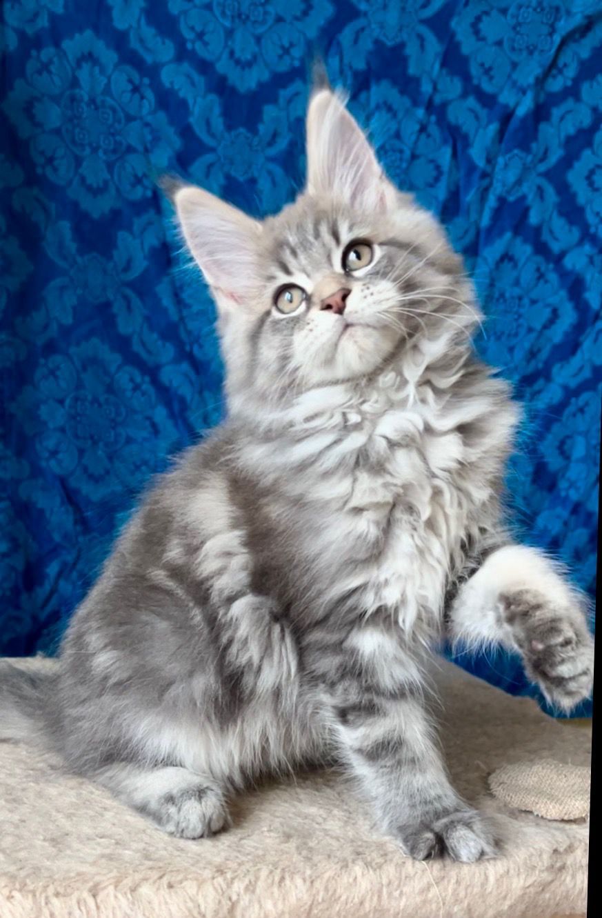 7e0629f3-4c39-4f1e-8901-8bfbb127a95a