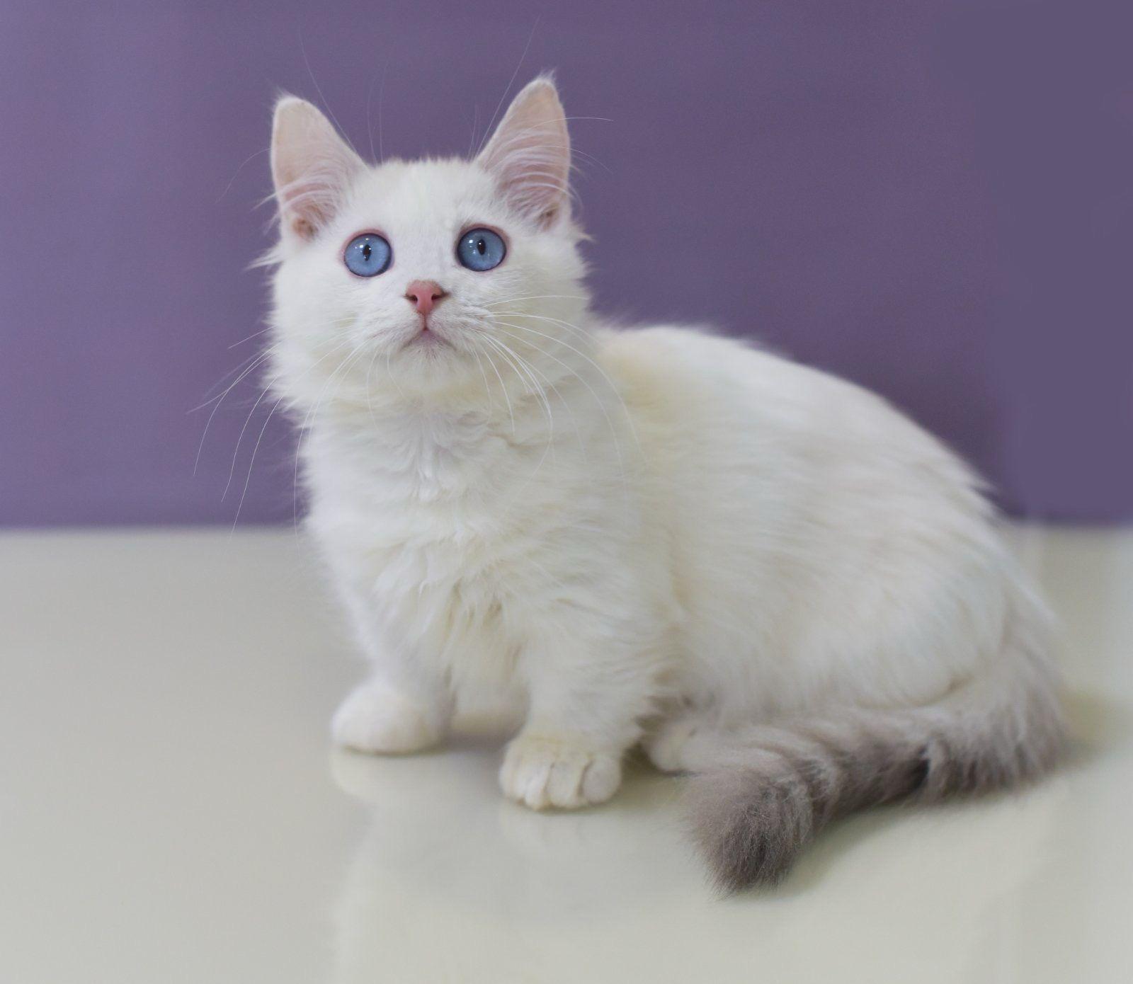 841da927-b2cc-4f3a-88d9-ee6090604257